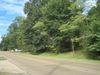 330 Elton Rd photo